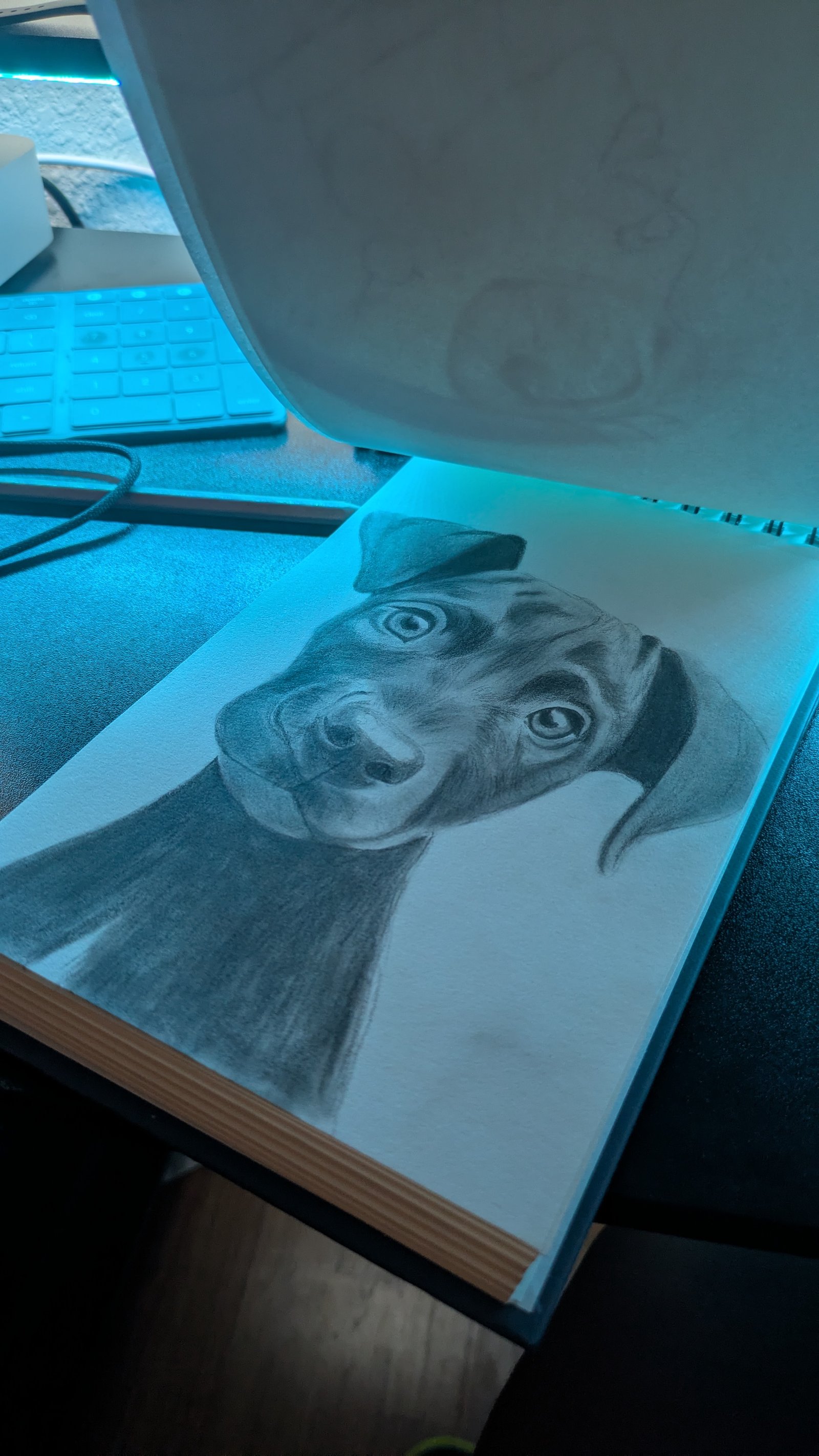 Cute puppy — view 3